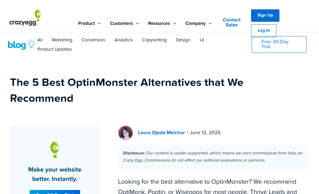 Screenshot of OptinMonster alternative software interface